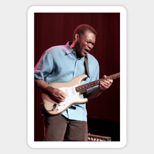 Robert Cray Photograph Sticker